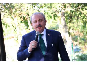 TBMM Başkanı Şentop: "Türkiye salgın sürecini en az zararla yürüten ülkelerden"