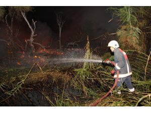 Mersin'de araştırma enstitüsünün bahçesinde çıkan yangın söndürüldü