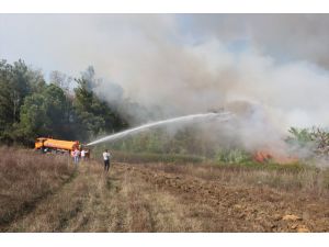 Samsun'da ağaçlık alanda çıkan yangın ekiplerin müdahalesiyle söndürüldü