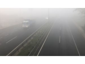 Tekirdağ'da sis ve pus nedeniyle trafik akışı olumsuz etkilendi