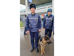 Özbek ekibindeki köpekler Türkiye'deki depremlerde kurtarmada önemli rol oynadı