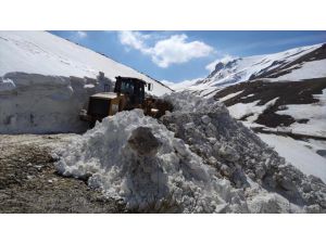 Van'ın kırsal bölgelerinde karla mücadele sürüyor
