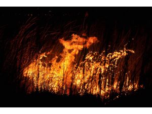 Mersin'deki Göksu Deltası'nda yangın
