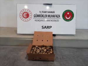 Sırtına bağladığı kutudaki su kaplumbağalarını Türkiye'ye sokmaya çalışan kişi sınırda yakalandı