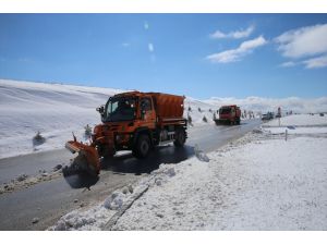 Tokat ve Samsun'da kar etkili oldu