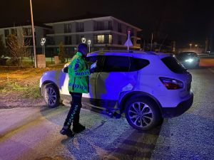 Düzce'de otomobille cipin çarpıştığı kazada 2 kişi yaralandı