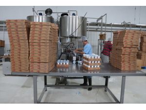 Depremzede üreticilerden toplanan sütle yapılan yoğurt ve ayran afetzedelere dağıtılıyor