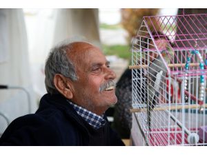 Depremzede aileler, çadır kentte muhabbet kuşu ve papağanla ilgilenerek vakit geçiriyor