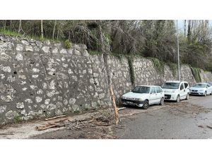 Karabük'te kuvvetli rüzgar nedeniyle devrilen ağaç araçlara zarar verdi