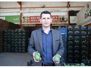 Alanya'da bu sezon avokado üretimi 80 milyon adede ulaştı