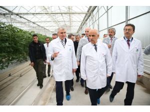 Tarım ve Orman Bakanı Kirişci, Sakarya'da Seracılık Mükemmeliyet Merkezi'ni ziyaret etti: