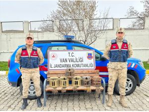 Van'da jandarmanın ele geçirdiği 8 keklik ekiplere teslim edildi