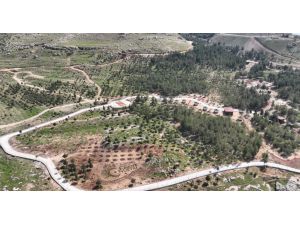 Mardin'de kurulan "millet ormanı"nın birinci etabı tamamlandı