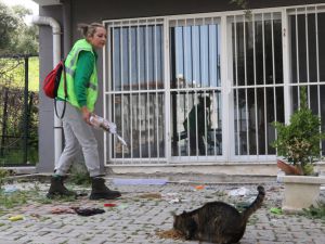 Hatay'da gönüllü hayvanseverler enkazdan can dostları kurtarıyor
