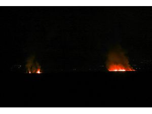 Kayseri'deki Sultan Sazlığı Milli Parkı'nda yangın çıktı