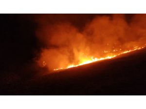 Bodrum'da makilikteki yangına müdahale ediliyor