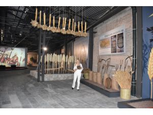 Adana'nın tarımı, sanayisi ve kent kültürü asırlık fabrikadaki müzede sergileniyor