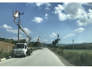 SEDAŞ, leyleklerin güvenli göç yolculuğu için önlemlerini aldı