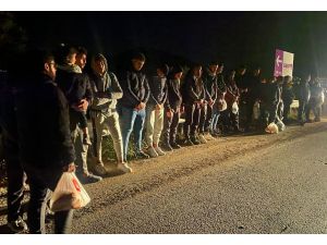 Bodrum'da 22 düzensiz göçmen yakalandı