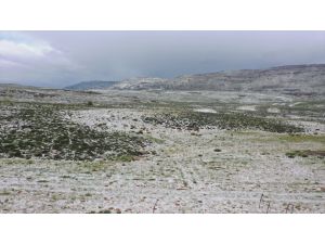 Mersin'de yaylaya yağan kar, arıcıları bal rekoltesi için umutlandırdı