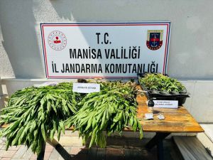 Manisa'da uyuşturucu operasyonunda 40 şüpheli yakalandı