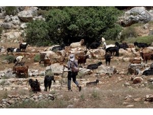 Yahudi yerleşim birimlerinin arasında kalan Filistin toprağı: Vadi Kana