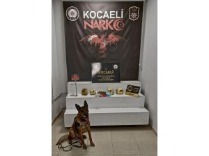 Anadolu Otoyolu'nda durdurulan otomobilde 2 kilo 700 gram esrar ele geçirildi