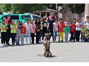 Kilis'te eğitimli köpeklerle depremzede çocuklara moral etkinliği