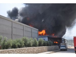 Mersin'de mobilya fabrikasında çıkan yangına müdahale ediliyor