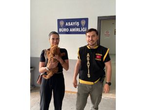 İsrailli turistin kaybolan köpeği polislerce bulunup sahibine teslim edildi
