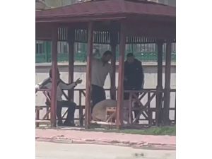 Konya'da köpeğe eziyet ettiği iddia edilen zanlı yakalandı
