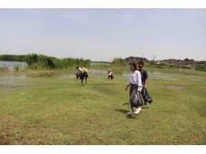 Akademisyen ve öğrenciler Ağrı Dağı Milli Parkı'nda temizlik yaptı