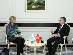 Kırgızistan Dışişleri Bakanı Kulubayev, AGİT Genel Sekreteri Schmid ile görüştü