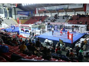 Sakarya'da düzenlenen Yıldızlar Türkiye Ferdi Boks Şampiyonası sona erdi