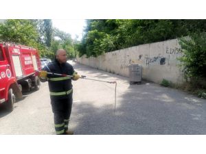 Karabük'te okulun bahçesine giren yılan itfaiye ekiplerince yakalandı