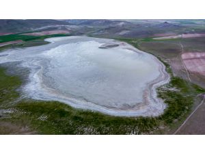 Van'da geçen yıl kuruyan Tuz Gölü, yağışlarla yeniden hayat buldu