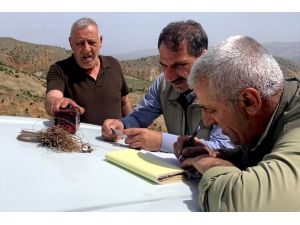 Elazığ'da 600 kınalı keklik doğaya bırakıldı