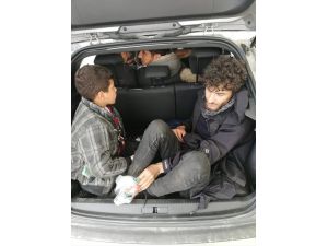 Kırklareli'nde 10 düzensiz göçmen yakalandı