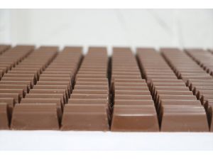 Liseli şefler çikolata üretiminden 3 ayda 500 bin lira gelir sağladı