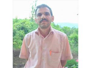 Mersin'de ağaçtan düşen kişi hayatını kaybetti