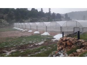Mersin'de sağanak tarım alanlarında hasara neden oldu
