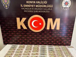 Konya'da sahte dolarla vatandaşları dolandıran 2 zanlı tutuklandı
