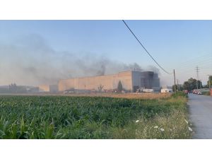 Kocaeli'de geri dönüşüm fabrikasında çıkan yangında 3 işçi dumandan etkilendi