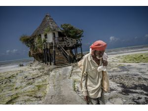 Afrika'nın Hint Okyanusu'ndaki renkli adası; Zanzibar