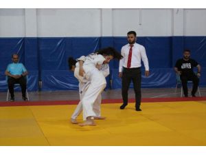 Anadolu Yıldızlar Ligi Judo Yarı Final Müsabakaları Tunceli'de tamamlandı