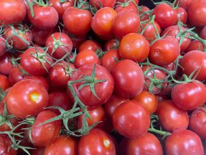Türkiye'den yılın ilk yarısında 326 milyon 99 bin dolarlık domates ihracatı