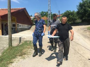 Zonguldak'ta 136 köyde şap karantinası başlatıldı