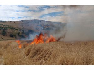 Tunceli'de çıkan yangın 10 dönümlük buğday tarlasına zarar verdi