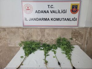 Adana'da uyuşturucu operasyonunda 21 şüpheli yakalandı