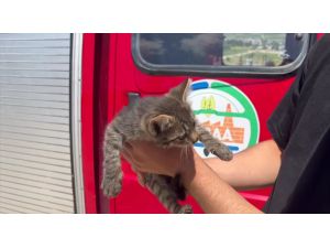 Tokat'ta otomobilin motor kısmına giren kedi yavrusunu itfaiye kurtardı